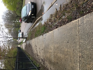 Foster Avenue street drainage problem