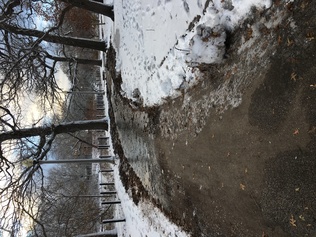 Gompers ice path.jpeg