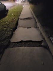 Sidewalk repair 2900 W Summerdale 
