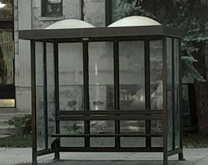 More bus shelters 