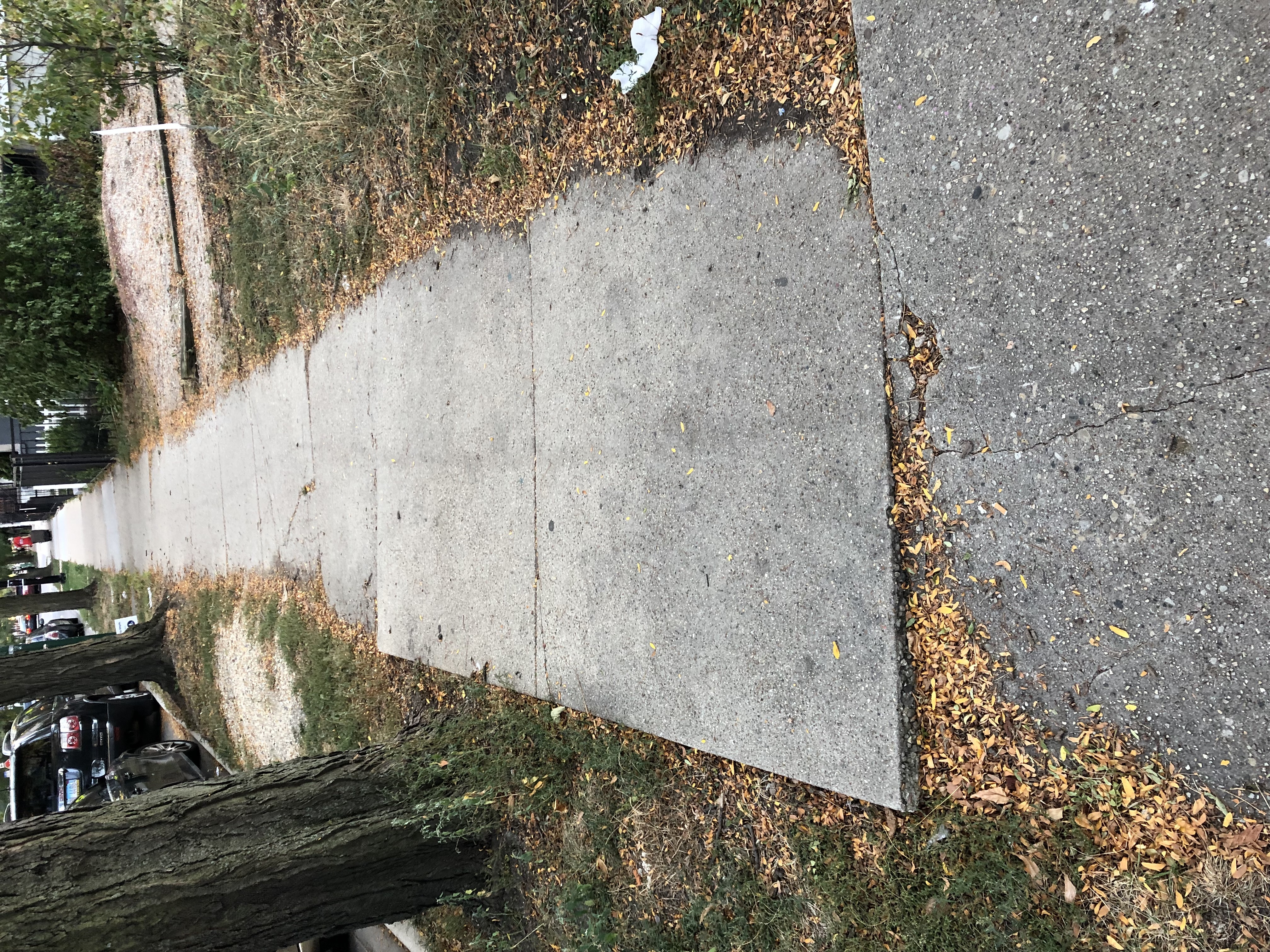 Sidewalk Replacement Program 